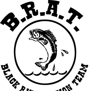 Team Page: Black River Action Team: Springfield, Vermont (OPEN)